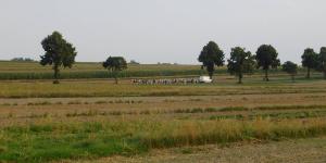 EPP26_180809_156
