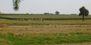 EPP26_180809_157